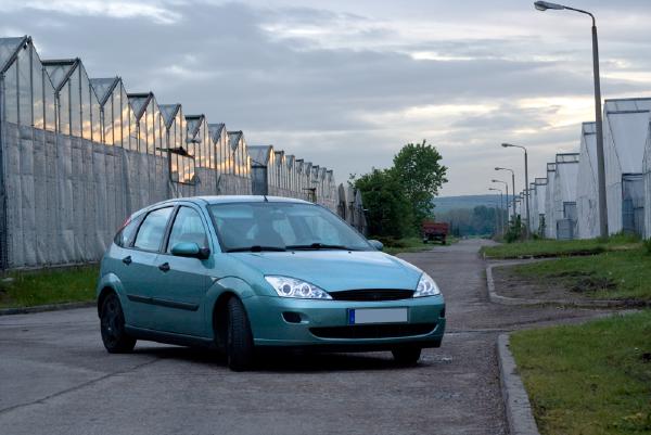 ford-focus-gewaechshaus