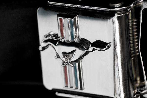 gurt-schnalle-ford-mustang