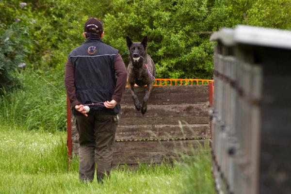 hundesport-huerde