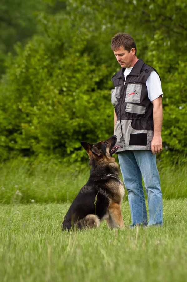 hundesport
