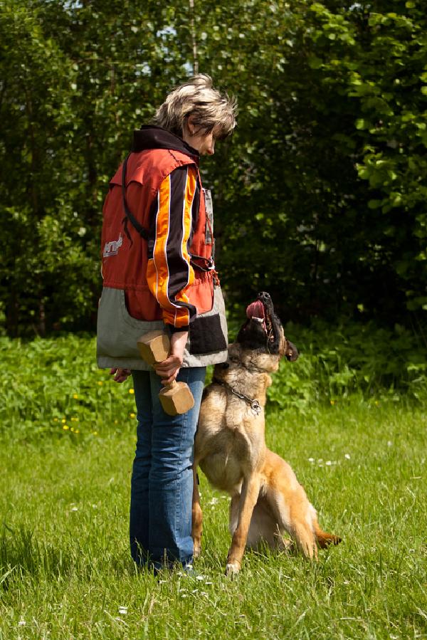 hundesport-sitz