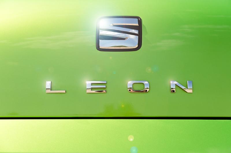 schriftzug-leon-s