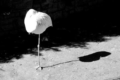 Zoo Leipzig